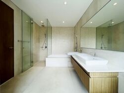 Skyline @ Orchard Boulevard (D9), Apartment #541065111